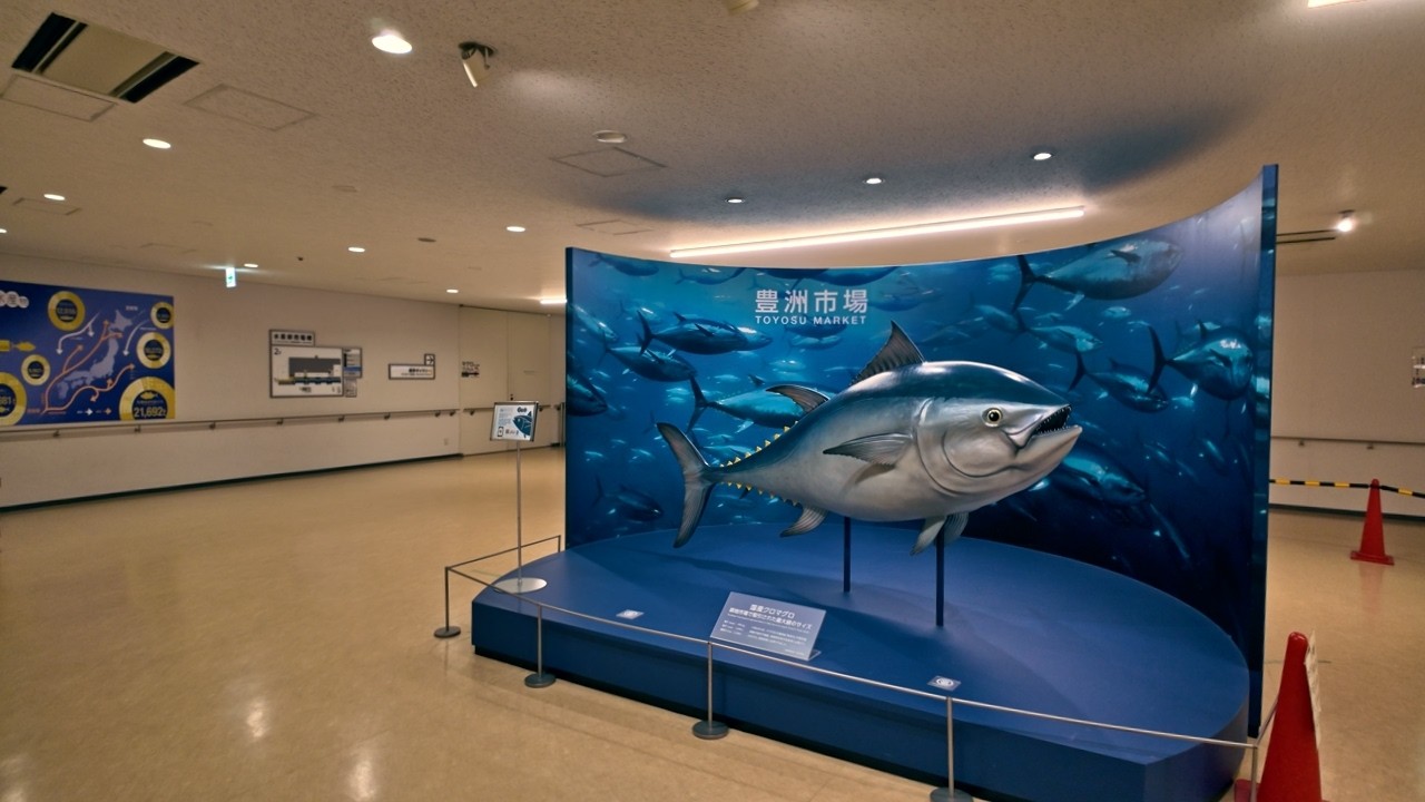 Japan's Toyosu Market [4K] World's Biggest Fish Auction in Tokyo