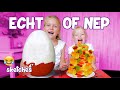 DE ECHT OF NEP CHALLENGE!! [sketches] ♥DeZoeteZusjes♥