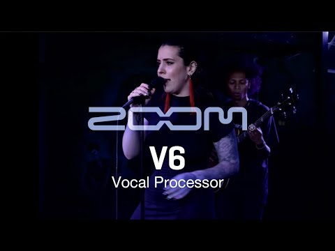 hks様用　ZOOM V6 ボイスプロセッサー hks様用 ZOOM V6 ボイスプロセッサー The Zoom V6 | ZOOM