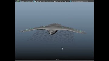 Bird animation in maya#animation #3danimation #autodeskmaya2022 #learnmaya #3dmodeling #aprish