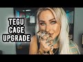 Hi it's me. Nash's Cage Upgrade!  | KristenLeannimal