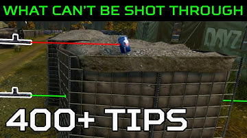 [OLD]I Shot EVERYTHING in DayZ | Here are the Results(400+ Tips)