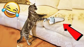 СМЕШНЫЕ ЖИВОТНЫЕ 2020 / ПРИКОЛЫ КОТЫ СОБАКИ, ЛУЧШИЕ ПРИКОЛЫ с Кошками и Собаками Funny Cats СМЕШНЫЕ ЖИВОТНЫЕ 2020 / ПРИКОЛЫ КОТЫ СОБАКИ, ЛУЧШИЕ ПРИКОЛЫ с Кошками и Собаками Funny Cats