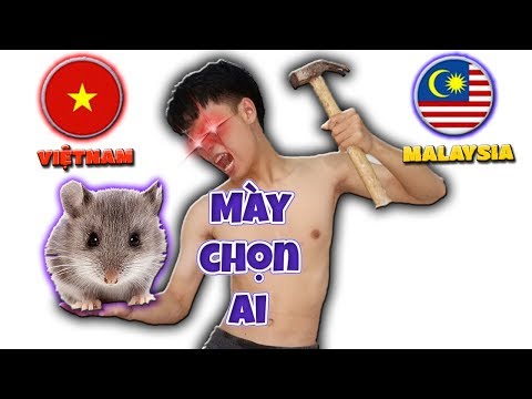 Tony | Thú Cưng Dự Đoán Chung Kết Bóng Đá -  Prophet With Animals