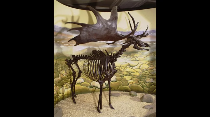 The Giant Irish Deer, Geology - Elaine Brooks