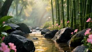Body Spa Massage Piano Sleep Stream for Quiet Dreams #relaxingmusic