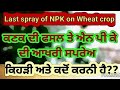     npk          best time of npk 13 0 45 spray on wheat crop