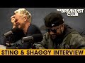 Sting & Shaggy Come Together For Reggae Music, Talk Lifestyle Changes, Old Hits + More