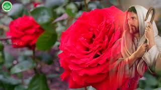 Tere Dwar Pe Aaye   Swar Tarang Volume 2  S And  By Fr Vipin Dsouza