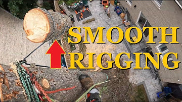 Arborist Techniques: Negative Rigging