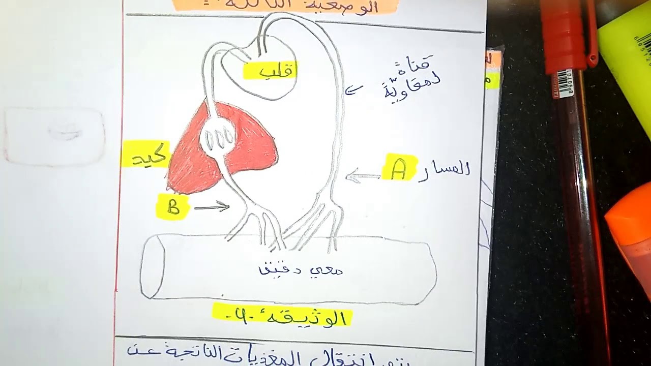 حل الوضعية الثالثة - رابعة متوسط - BEM 2020