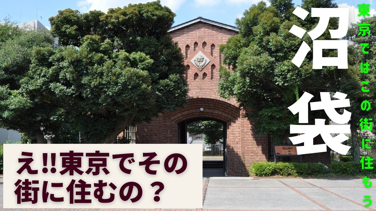西武新宿線沼袋駅、平和の森公園にあるスポーツセンターが利用価値大です、100～500円で利用可能、駅前は開発途中で2026年には、駅が地下化して生まれ変わります。とても楽しみな街です。中野刑務所跡地