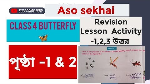 Class 4 English| Butterfly| Revision Lessons| Activity -1, 2 & 3 Solutions| Page -1 & 2