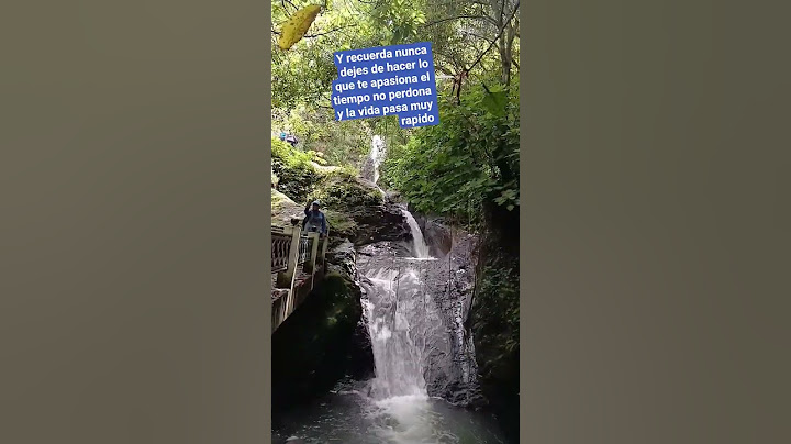 Nunca dejes que nadie te diga que no puedes fracasa el que no lo intenta #elsalvador