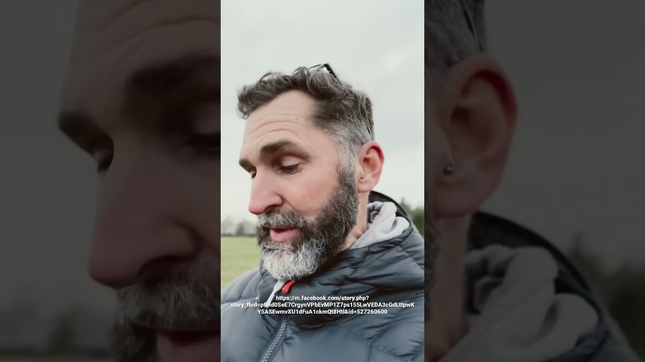 AI art creates images from brain activity 