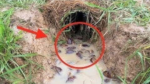 Smart Boy Make easy deep hole Crab Trap to catch alot of Crab - How To Catch Crab With Crab Trap