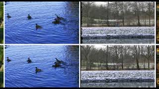 [Frame Interpolation] Comparison 4 videos