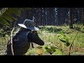 Red Dead Redemption 2: Hunting In Tall Trees