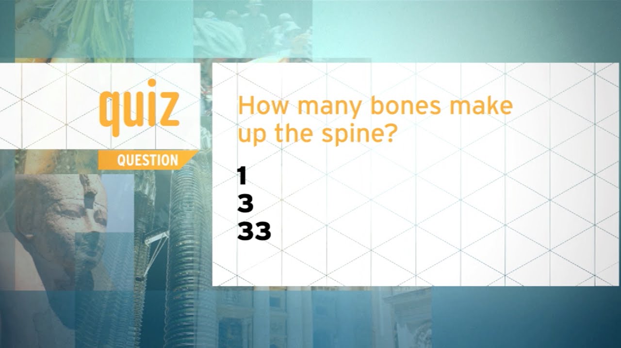 Quiz - How many bones make up the spine? - YouTube