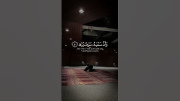 سورة النجم {٣٩-٤١}  | القارئ الشيخ محمود خليل الحصري