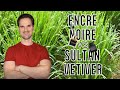 Fragrance Battle: Sultan Vetiver by Nishane vs. Encre Noire by Lalique | Who is the king of Vetiver?