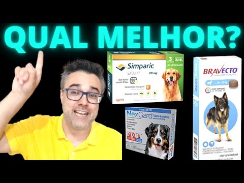 Vídeo: Top 10 vegetais saudáveis para cães