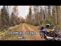 Моторазведка новых мест и осенние похождения в поисках рябчика/ Motoland XR 250 ендуро 2020