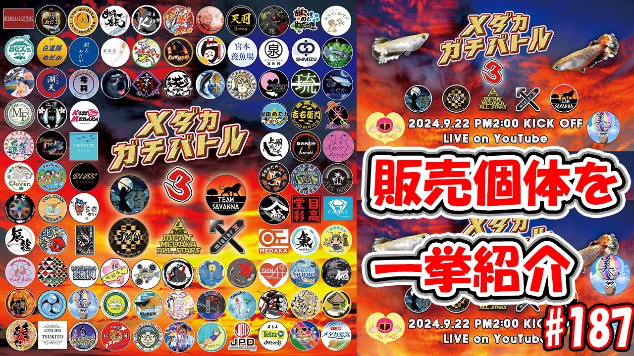 medakaプロフ必読 3月プチ引越予定様 リクエスト 2点 まとめ商品