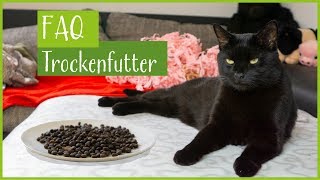 FAQ Trockenfutter |'Meine Katze frisst nur Trockenfutter!' 'Gut für die Zähne!' uvm. by Kralle und Faden 7,956 views 5 years ago 6 minutes, 57 seconds