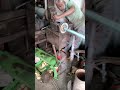 Lathe machine lathe lathework shortfarming village ytshort youtubeshorts shortsfeed