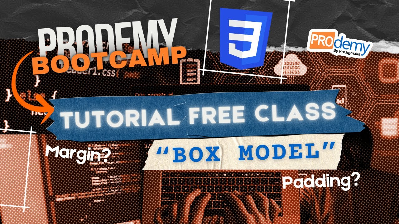FREE CLASS REACT JS - CSS Box Model #6 - YouTube
