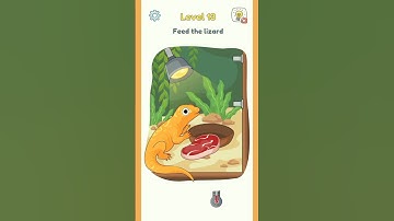 DOP 3 Level 13 #dop3#gaming#shorts#lizard#beef#smart#braintest#puzzle#fly#shortvideo#gameplay#orange