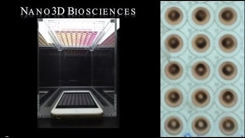 BiO Assay Experiments - Living Data