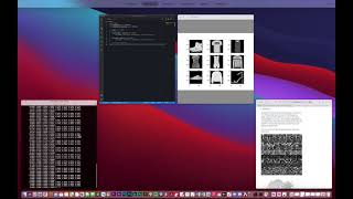 Exploring the Dataset and Designing the Model | PyTorch Tutorial Part 1 | Yale Machine Learning Net Worth
