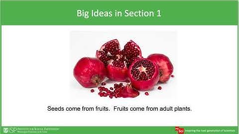 mySci 6 0 Unit 6 Unit Overview