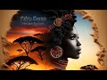 Afro  deep house fusion  oriental touch  may 2024  jamil ro