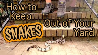 How To Keep Snakes Out Of Your Yard