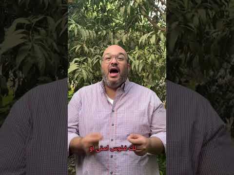 الرزق فلوس معروفه اوعي    كلام بيزنس مع اسامه سليمان الهدف نجاح التريند الرزق