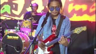 Wild world - Reggae Cover by PaJAHma Band