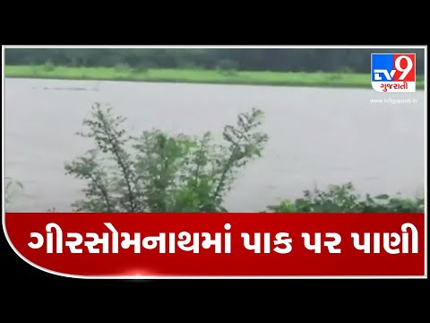 Heavy rains damage crops in Gir-Somnath | TV9News