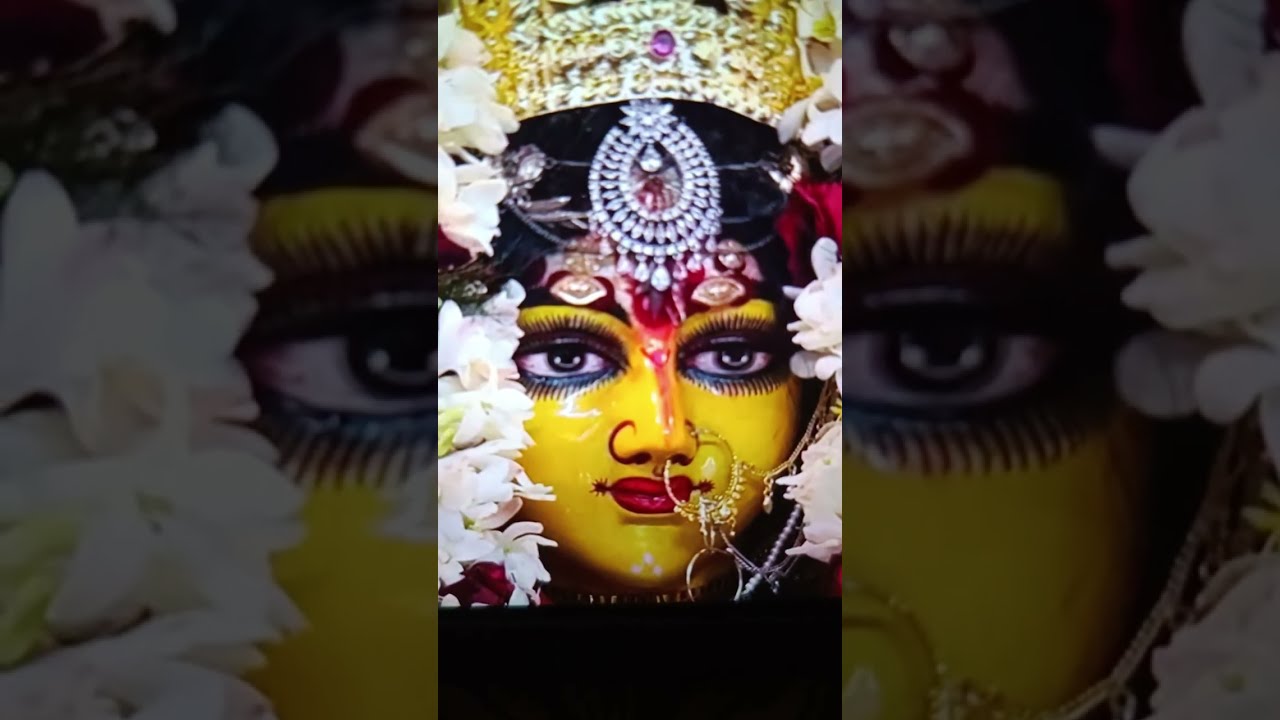 মা মনসা দেবীর পূজা দিতে গেলে অনেক কিছু গুরুত্বপূর্ণ কথা মাথায় রেখে দিতে হবে #shorts