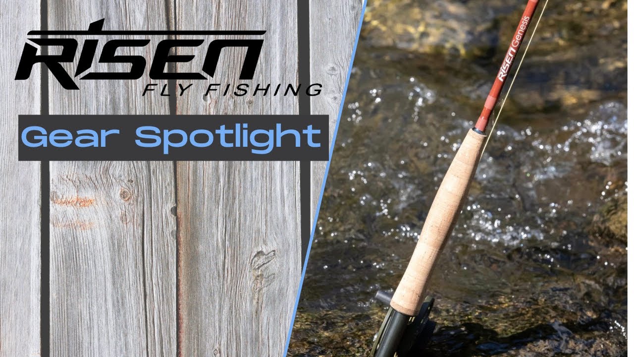 Product Spotlight. Genesis rod. Is there a better fly rod at this price? 