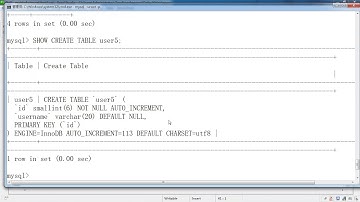 Mysql基础13 测试自增长 8 13
