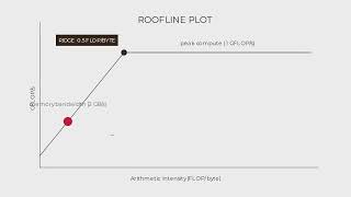 The Roofline: Is Your Model Compute- or Memory-Bound