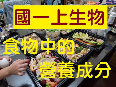 國一上生物 3-1 食物中的養分.熱量的轉換計算.養分怎麼利用|國一生物 | 108課綱