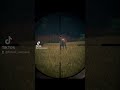 The hunter call of the wild te trolls...