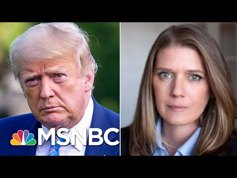 See Trump Niece's Chilling Warning About Why He Must Be Defeated In 2020 | MSNBC