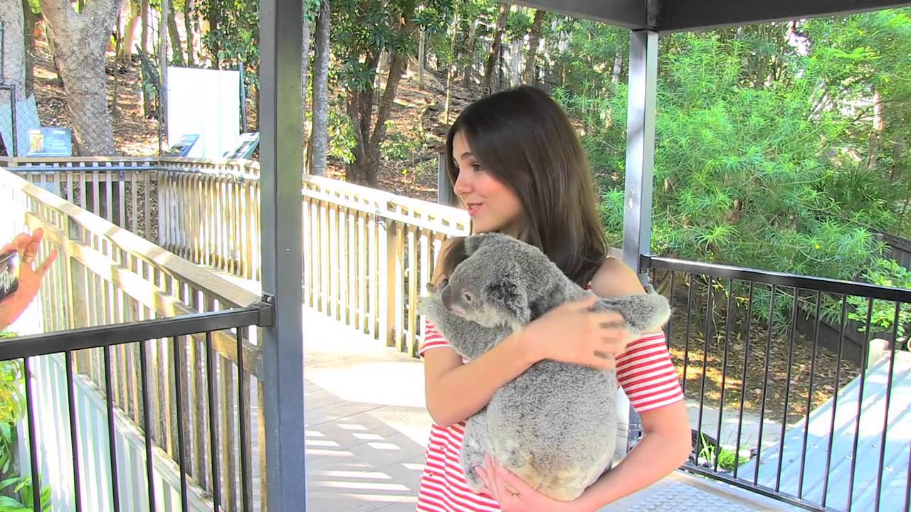 Victoria Justice cuddles the Koala's in Australia.mov