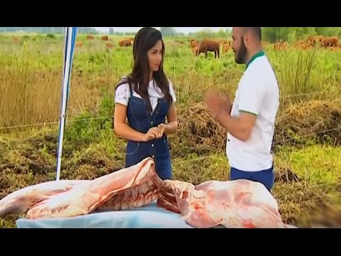 Мясная «подделка» и ночлежка в кафе - Тайный агент