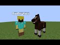 Skeppy Tricks BadBoyHalo With A New Horse - iDot SMP Highlights #4